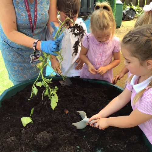 Diggingforpotatoes